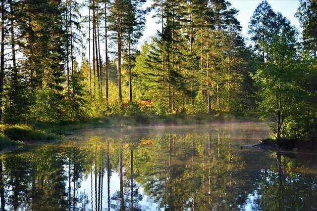 Дома для отпуска Viking house in the tree! Jacuzzi, Sauna, Apkure! Līči-17